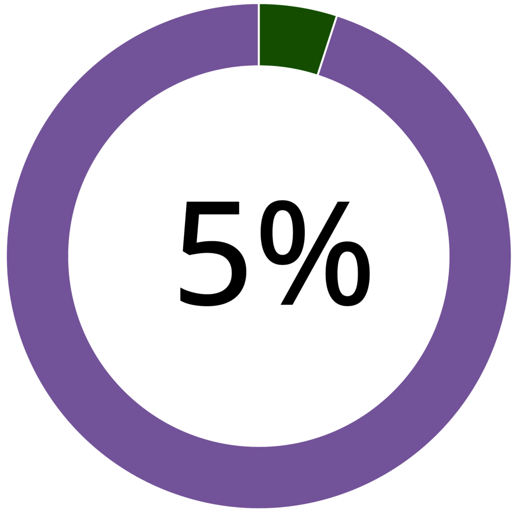 Donut chart. The outer ring represents 95% in purple and 5% in green. The center of the circle is labeled with "5%".