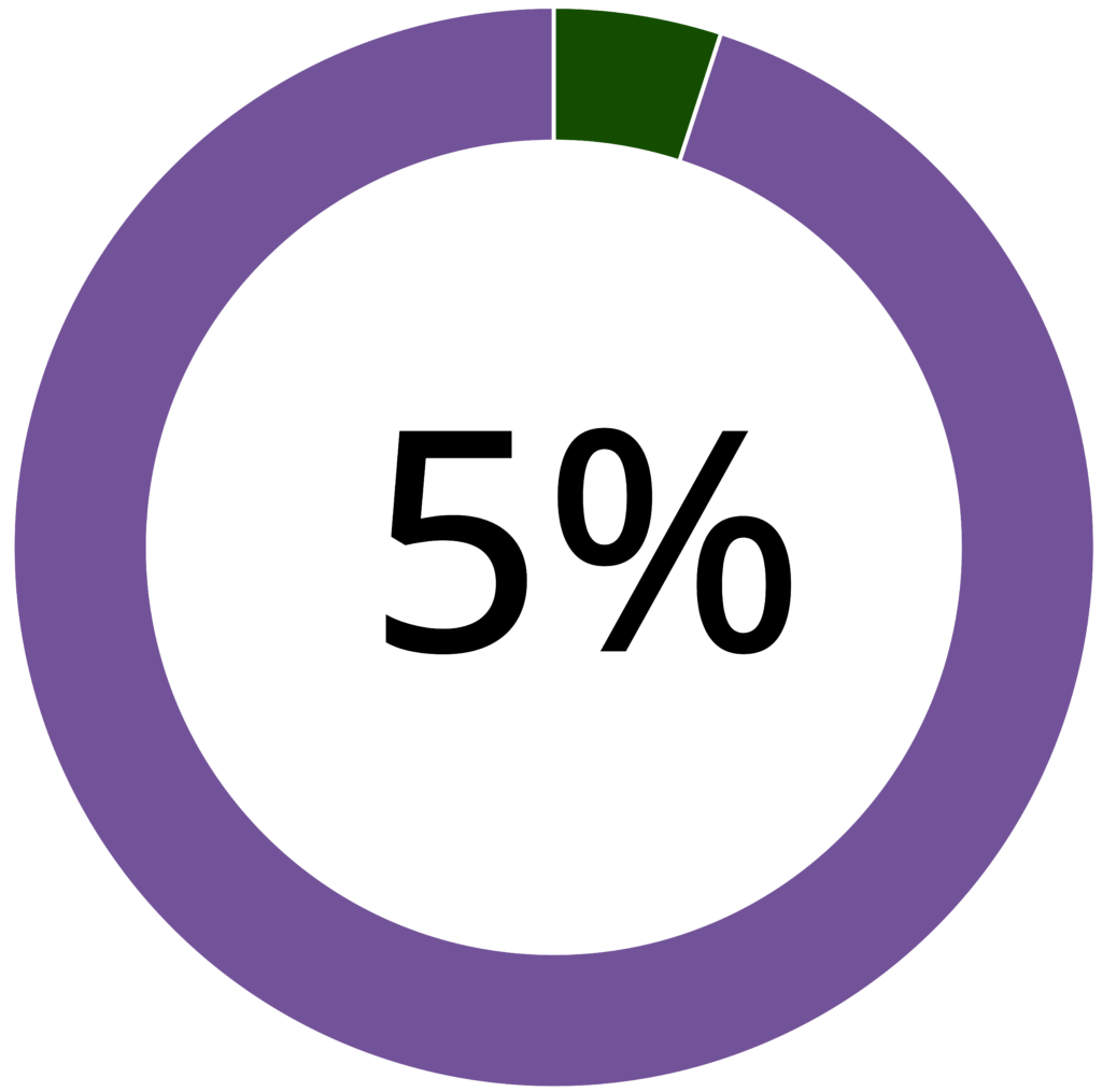 Donut chart. The outer ring represents 95% in purple and 5% in green. The center of the circle is labeled with 