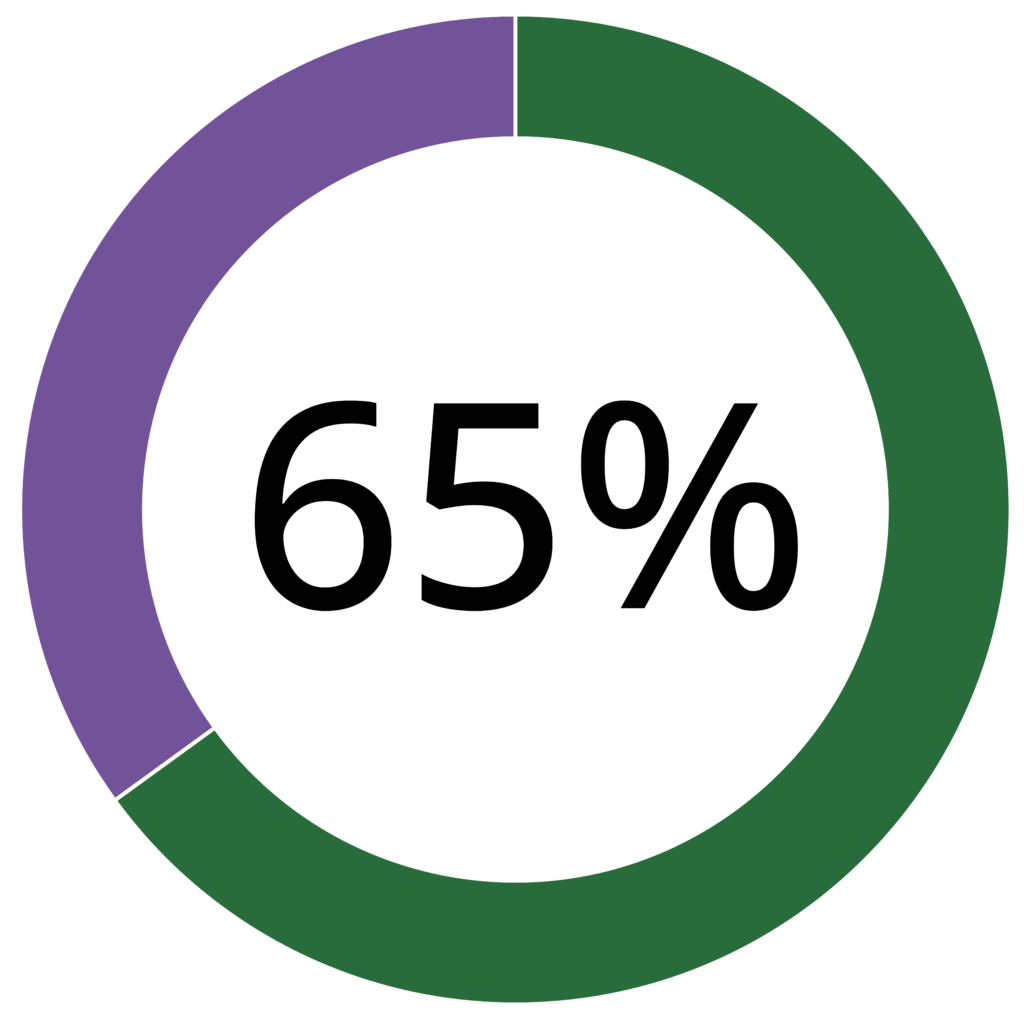 Donut chart. The outer ring represents 35% in purple and 65% in green. The center of the circle is labeled with "65%".