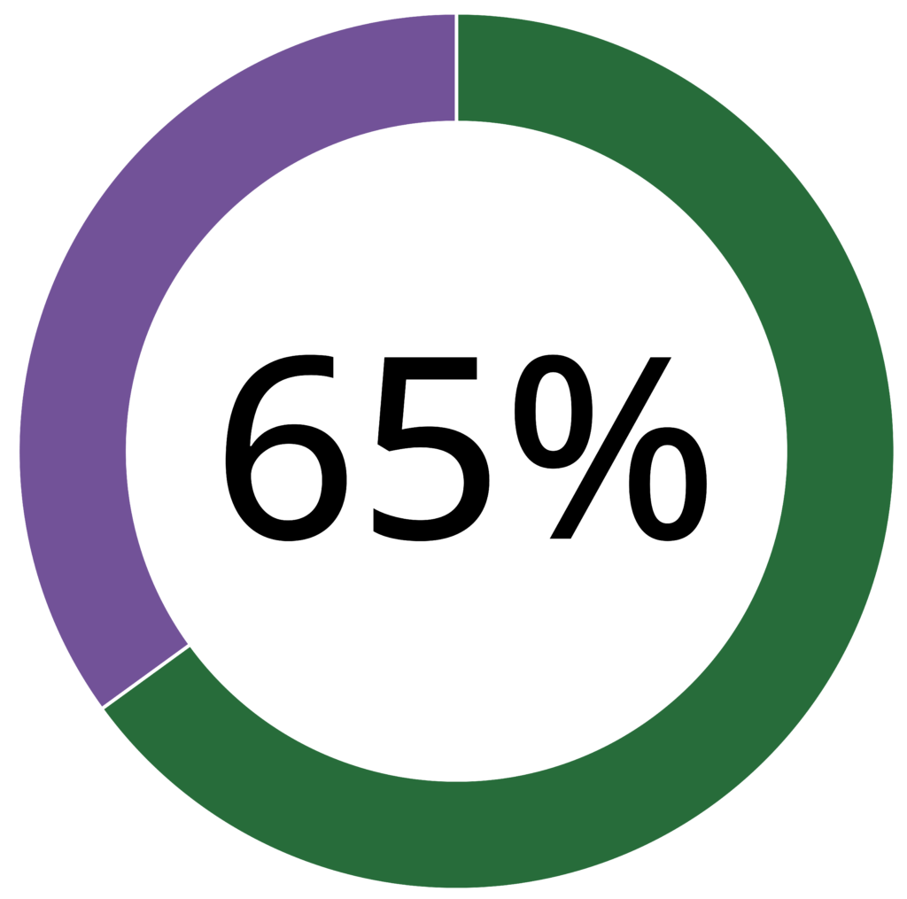 Donut chart. The outer ring represents 35% in purple and 65% in green. The center of the circle is labeled with 